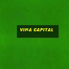 vina capital