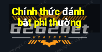 Chính thức đánh bắt phi thường