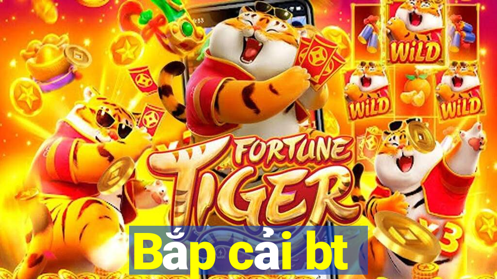 Bắp cải bt