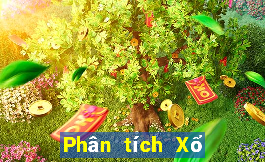 Phân tích Xổ Số nam định ngày 30