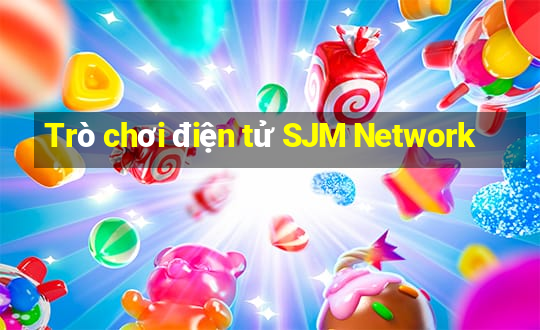 Trò chơi điện tử SJM Network