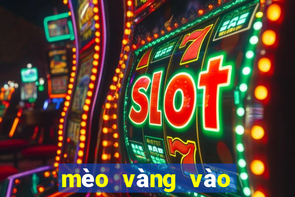 mèo vàng vào nhà tốt hay xấu