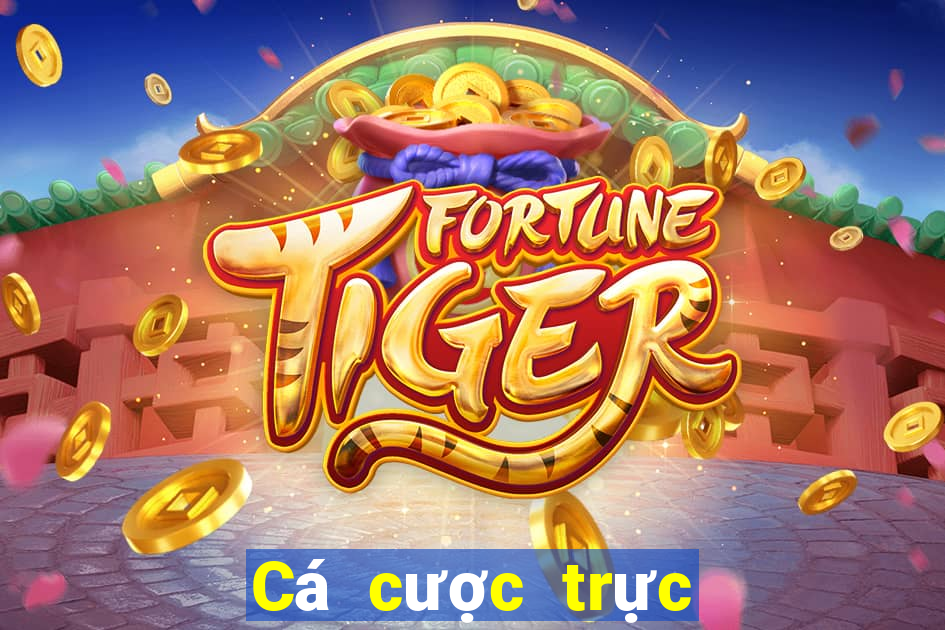 Cá cược trực tuyến 8jbet