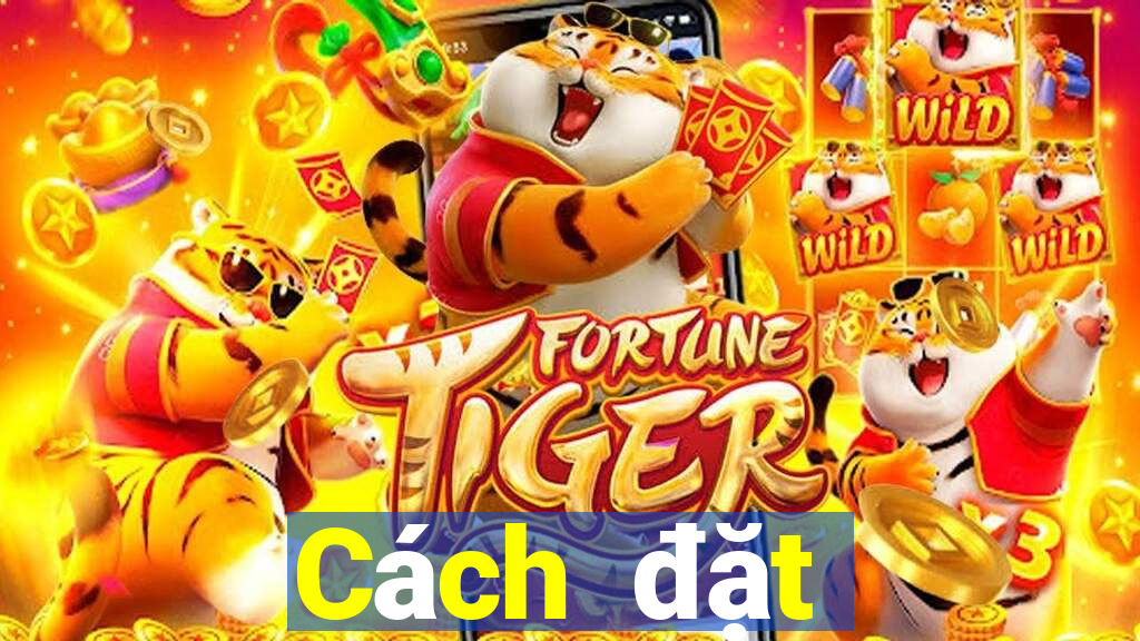 Cách đặt cược XSDTMB ngày 18