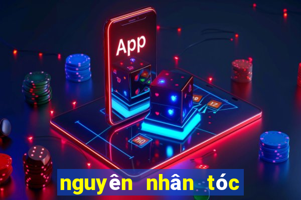 nguyên nhân tóc bị bết