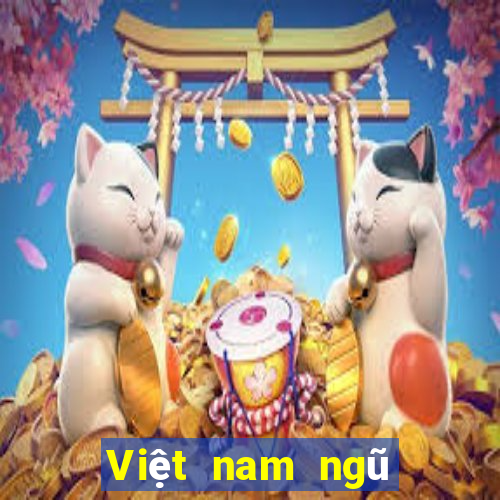 Việt nam ngũ phân xổ số