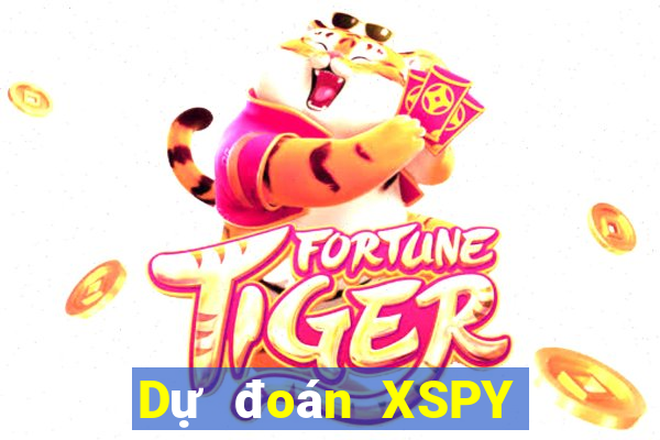 Dự đoán XSPY ngày 19