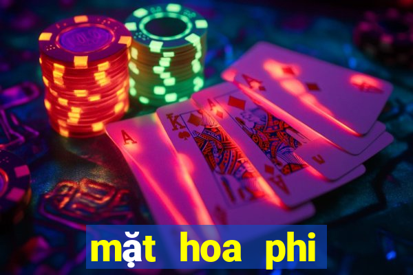 mặt hoa phi điệp bệt