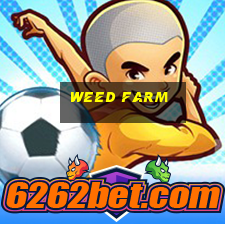 weed farm