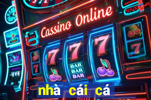 nhà cái cá cược vnloto