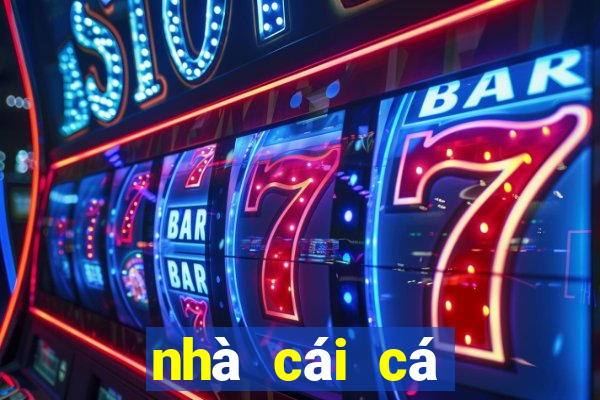 nhà cái cá cược vnloto