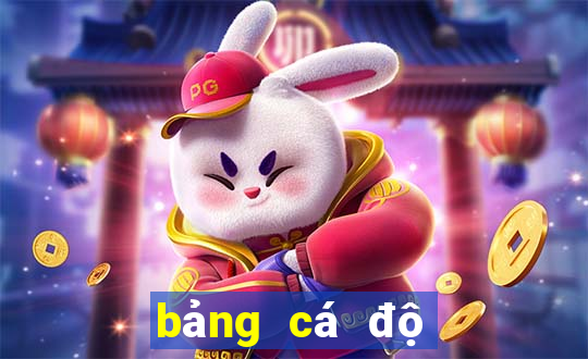 bảng cá độ bóng đá