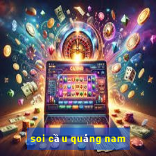 soi cau quang nam