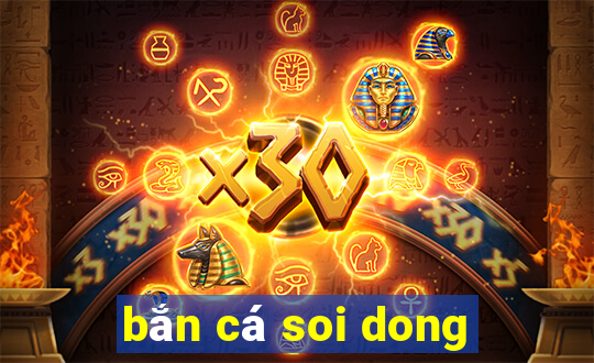 bắn cá soi dong