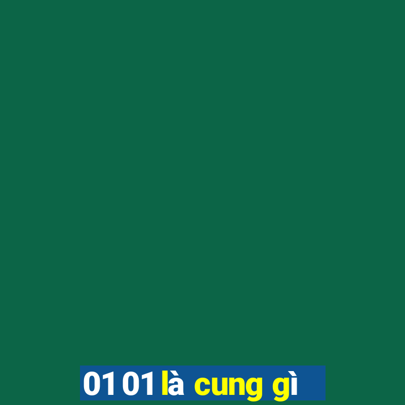 01 01 là cung gì