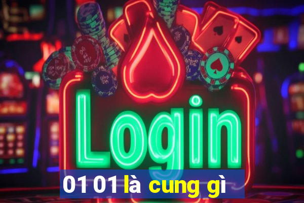 01 01 là cung gì