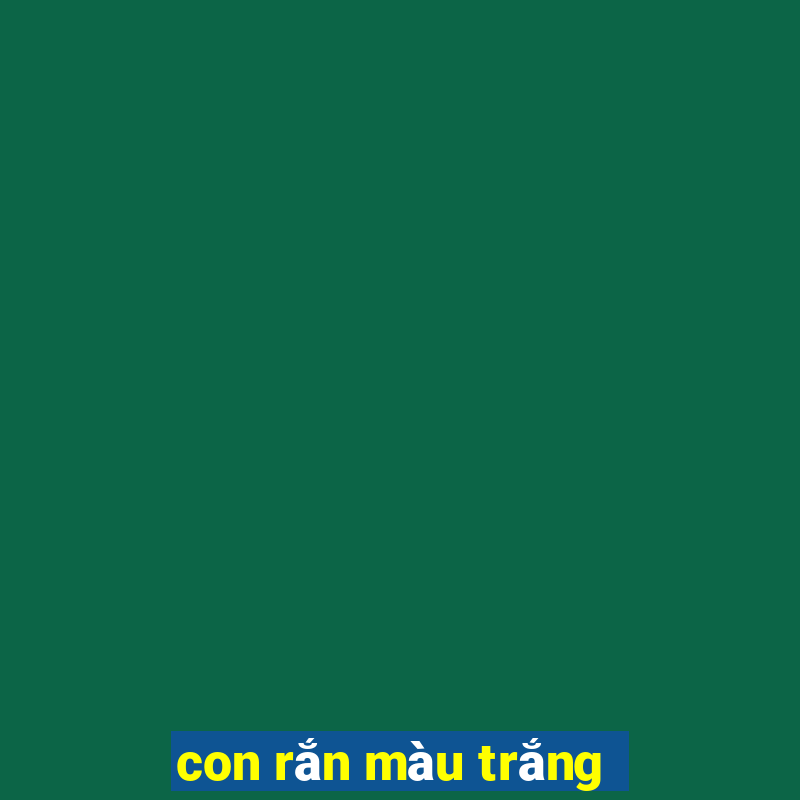 con rắn màu trắng