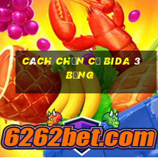 cách chọn cơ bida 3 băng