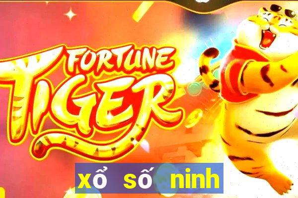 xổ số ninh thuận 200 ngày