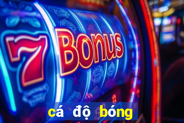 cá độ bóng đá one