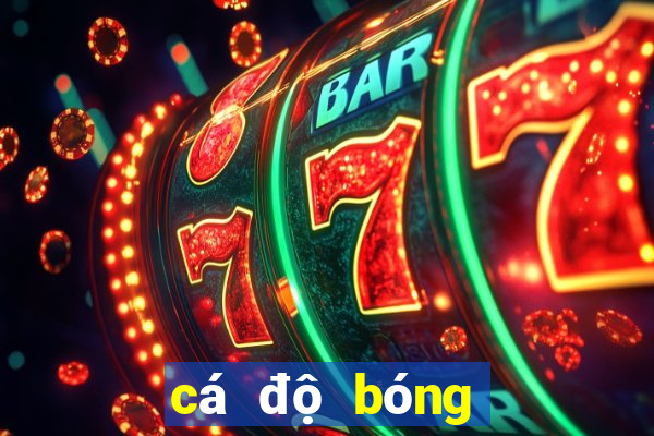 cá độ bóng đá one