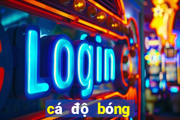 cá độ bóng đá one