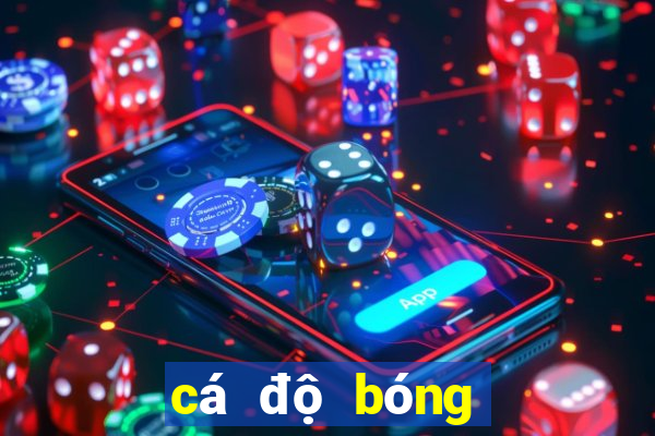 cá độ bóng đá one