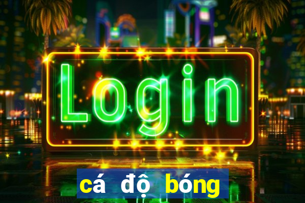 cá độ bóng đá one