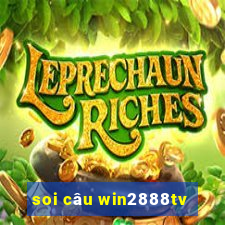 soi câu win2888tv