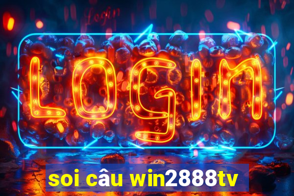 soi câu win2888tv