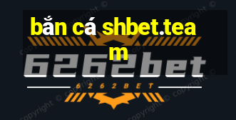 bắn cá shbet.team