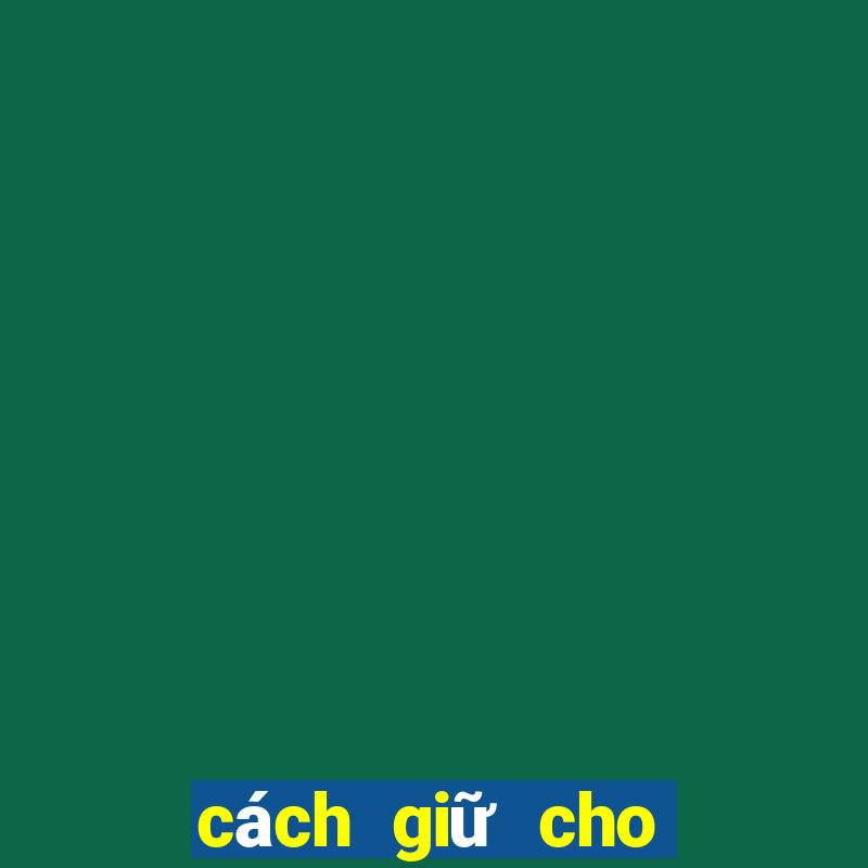 cách giữ cho tóc không bị bết