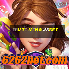 Đầu tư mạng 48bet