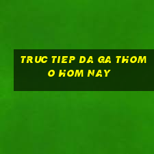 truc tiep da ga thomo hom nay