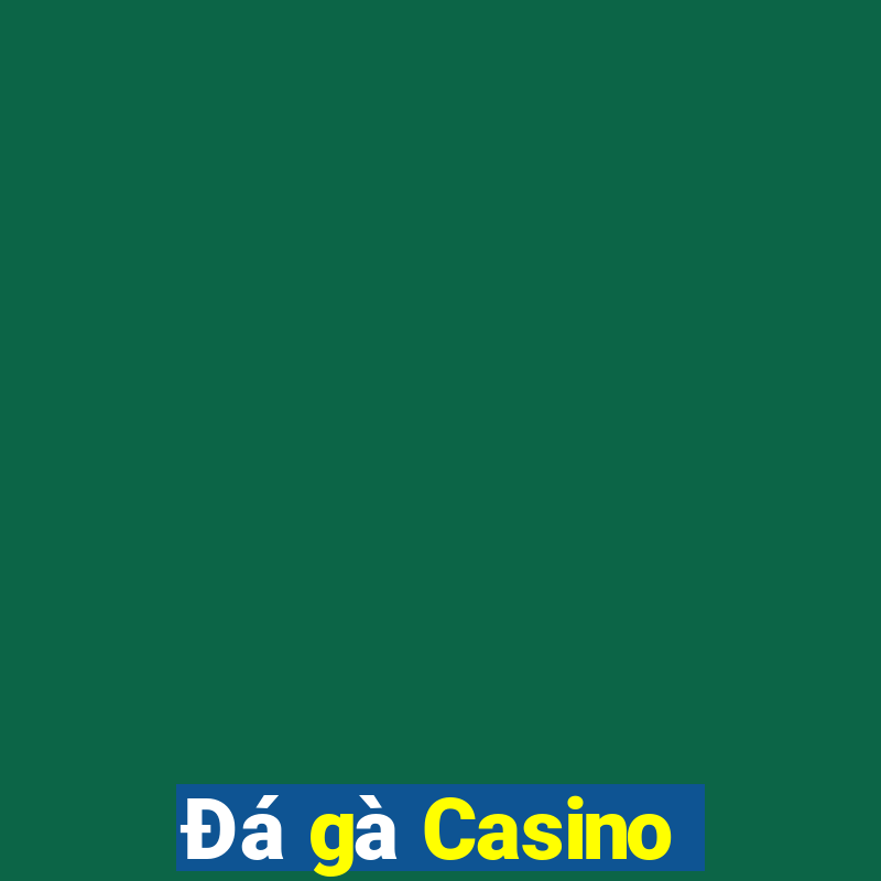 Đá gà Casino