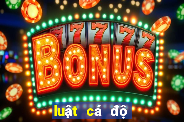 luật cá độ bóng đá