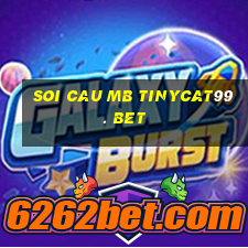 soi cau mb tinycat99. bet