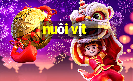 nuôi vịt