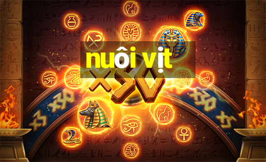 nuôi vịt