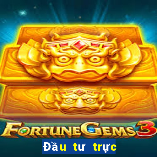 Đầu tư trực tuyến Bole