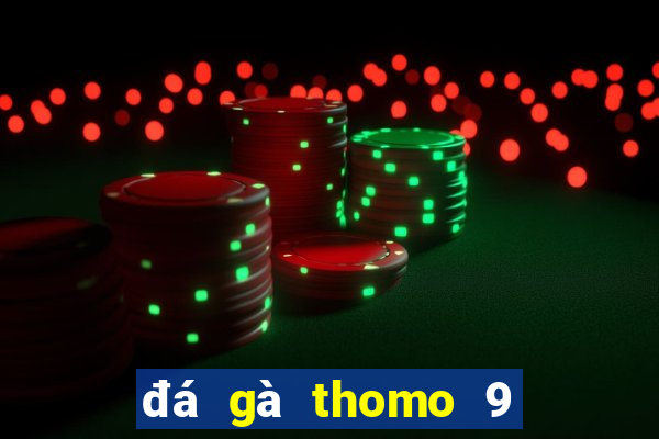 đá gà thomo 9 tháng 12