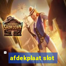 afdekplaat slot