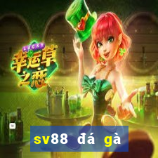 sv88 đá gà trực tiếp