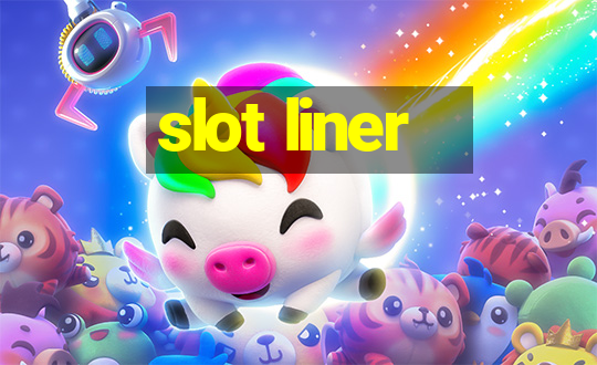 slot liner