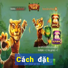 Cách đặt cược XSTB ngày 26