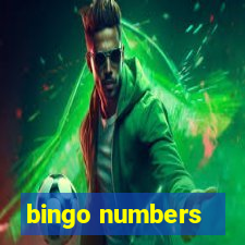 bingo numbers