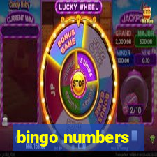 bingo numbers