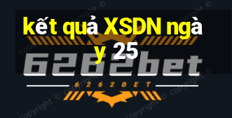 kết quả XSDN ngày 25