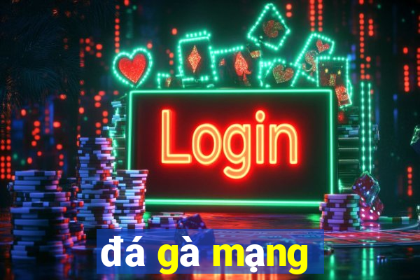 đá gà mạng