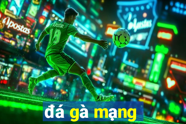 đá gà mạng